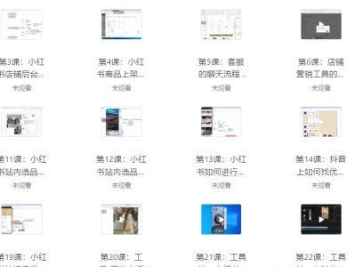 价值2999元小红书电商运营从入门到精通，系统性讲解，想挣零花钱的速来