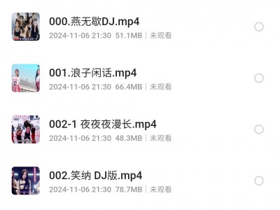抖音热卖车载音乐+视频合集  开车党必备